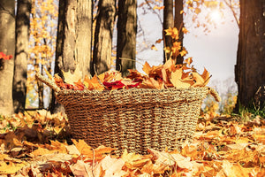 Jump into Fall/Winter with ReKwired Cosmetics!!